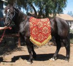 (image for) Saddle blanket