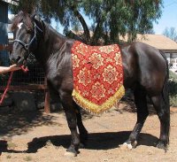 (image for) Saddle blanket
