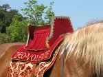 (image for) Saddle, Medieval, circa 1460