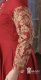 (image for) Sleeves, Ladies, pin-on, 15th C. Damask or Brocade